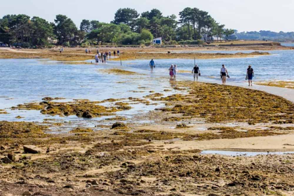 L’île Tascon depuis St Armel